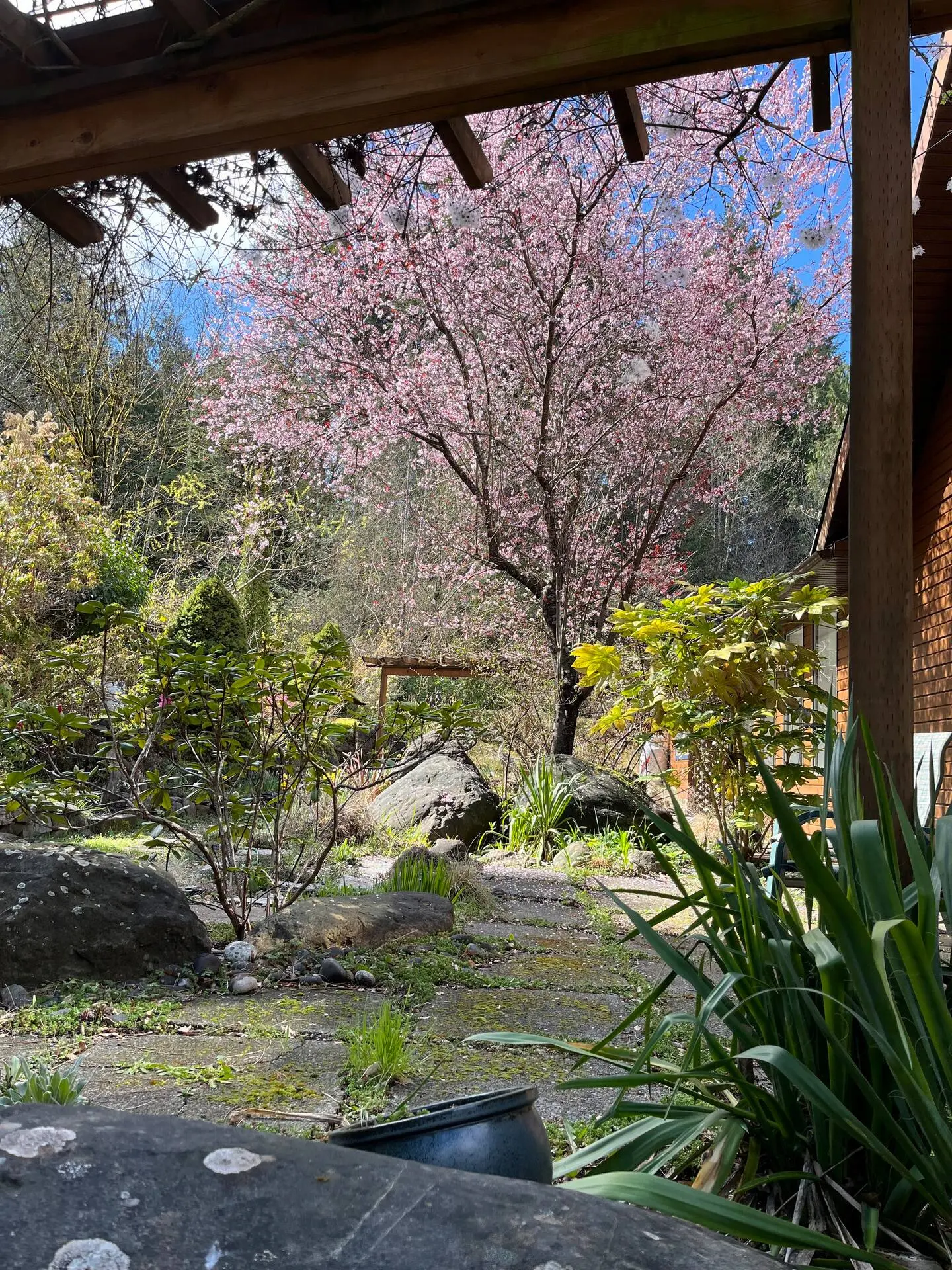 A picturesque garden showcasing a flourishing tree amidst a colorful array of blooming flowers.